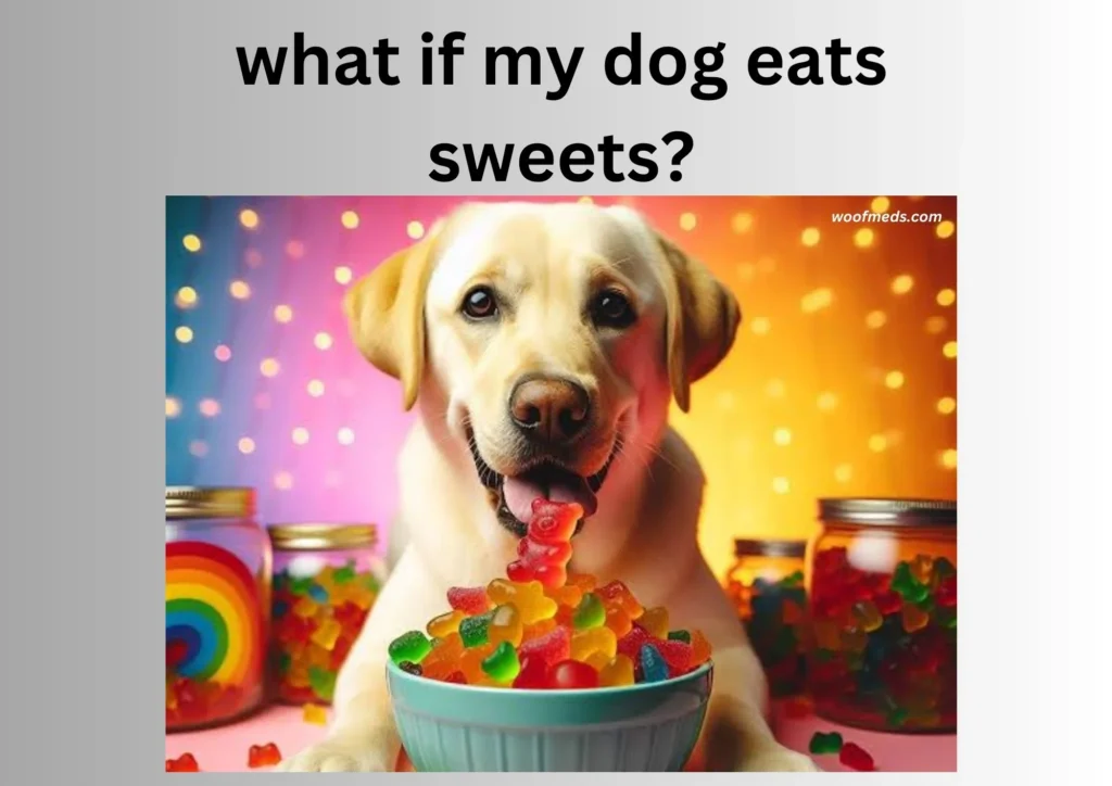 what if my dog eats sweets?